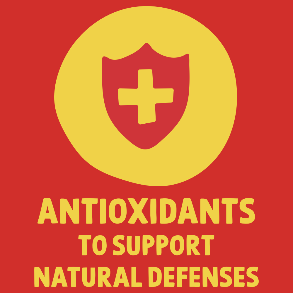 image 5998749132982_L7_EN_s01%20%282%29