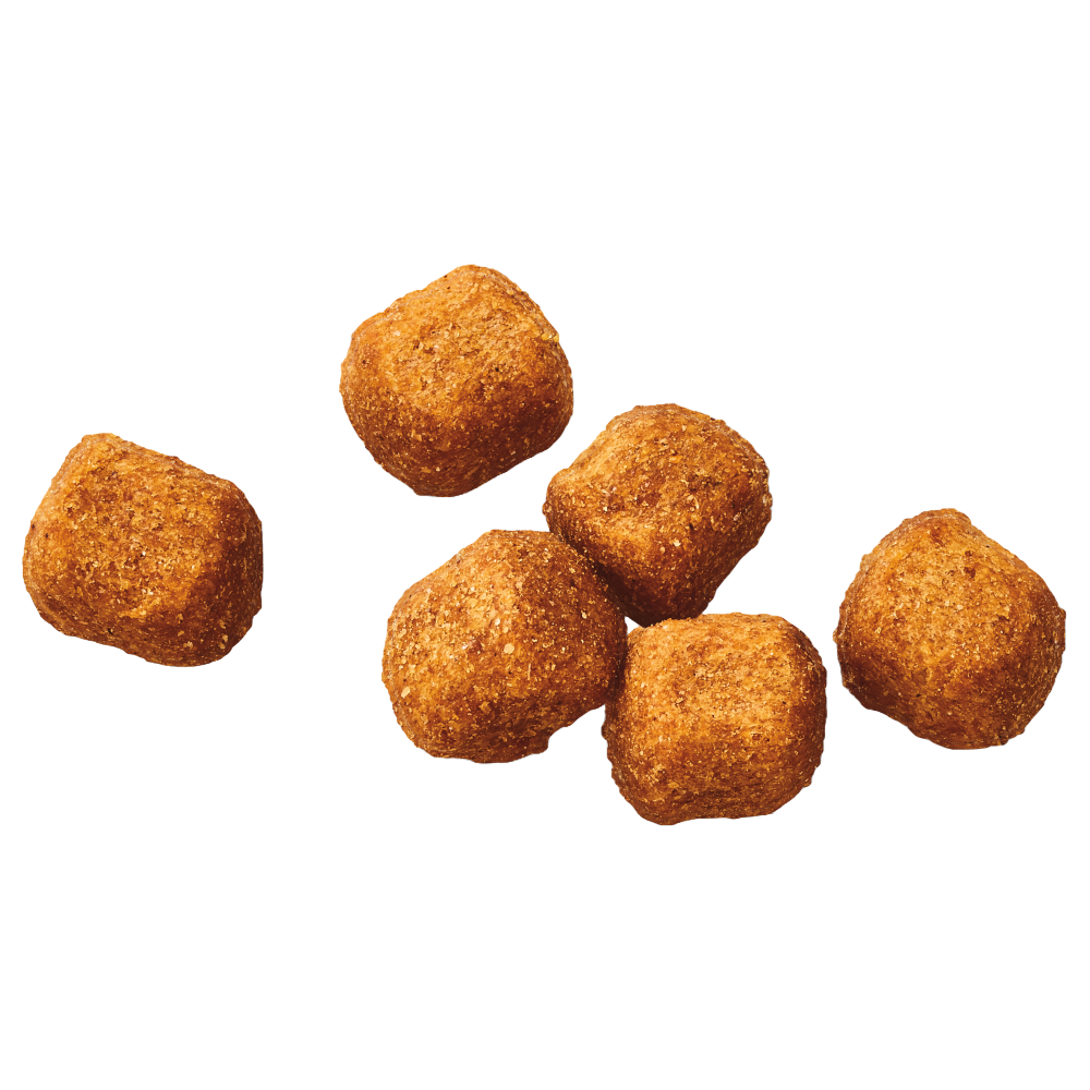 image Adobe%20Express%20-%20file%20%283%29_3